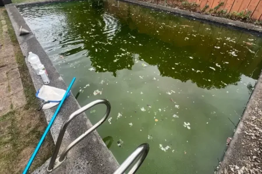 Professional Pool Cleaner in Kailua, HI